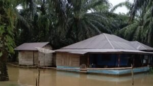 Sibolga dan Tapanuli Diterpa Bencana: Ribuan Rumah Terendam, Infrastruktur Lumpuh