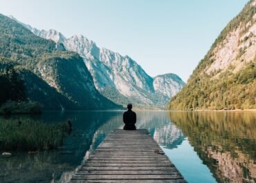 Looking above: discover ecosystem above your head