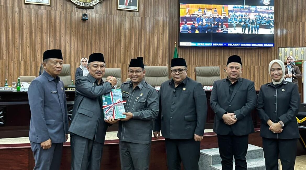 WhatsApp Image 2025-11-14 at 11.08.45