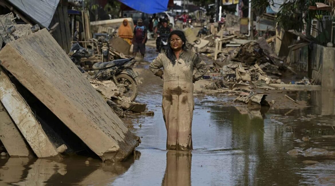 005217000_1765021406-5