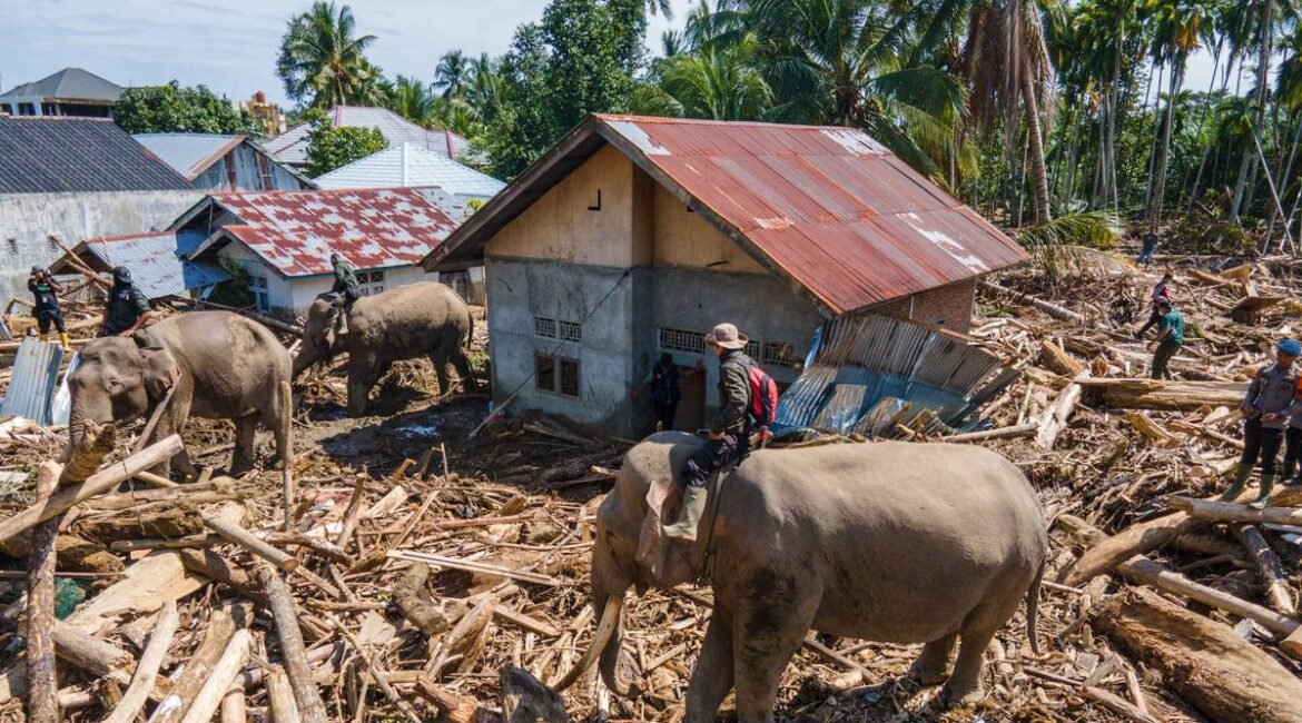 046570300_1765181610-2