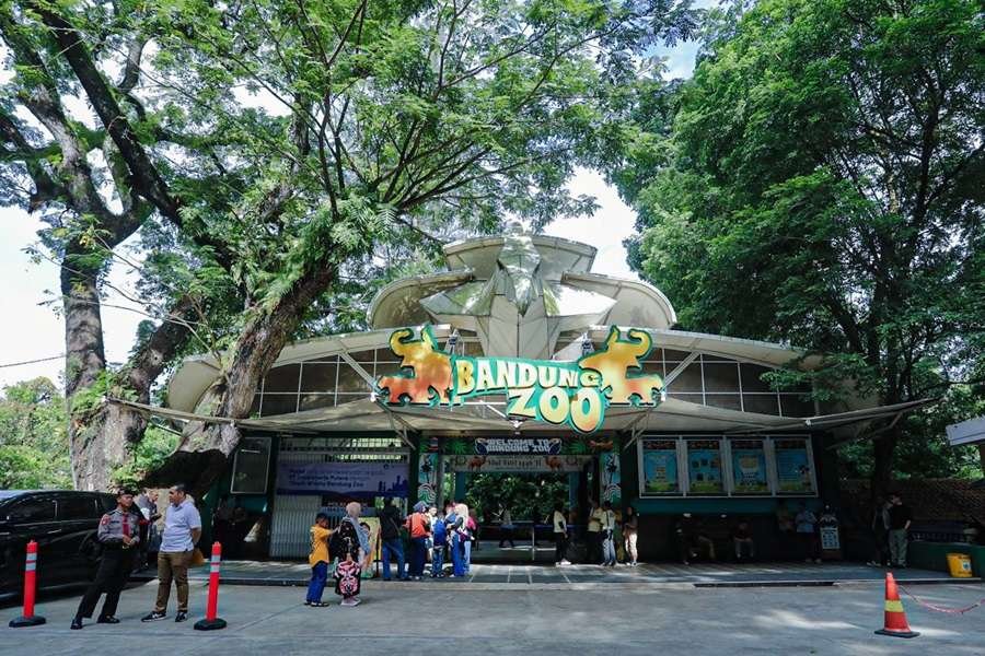 Ketika Dana Menipis: Karyawan Bandung Zoo Rela Patungan Demi Pakan Satwa