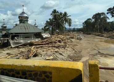 Alarm Bahaya dari Batang Toru: Pasca Banjir Bandang, Keseimbangan Ekosistem Terakhir Sumatera Utara Kini di Titik Kritis