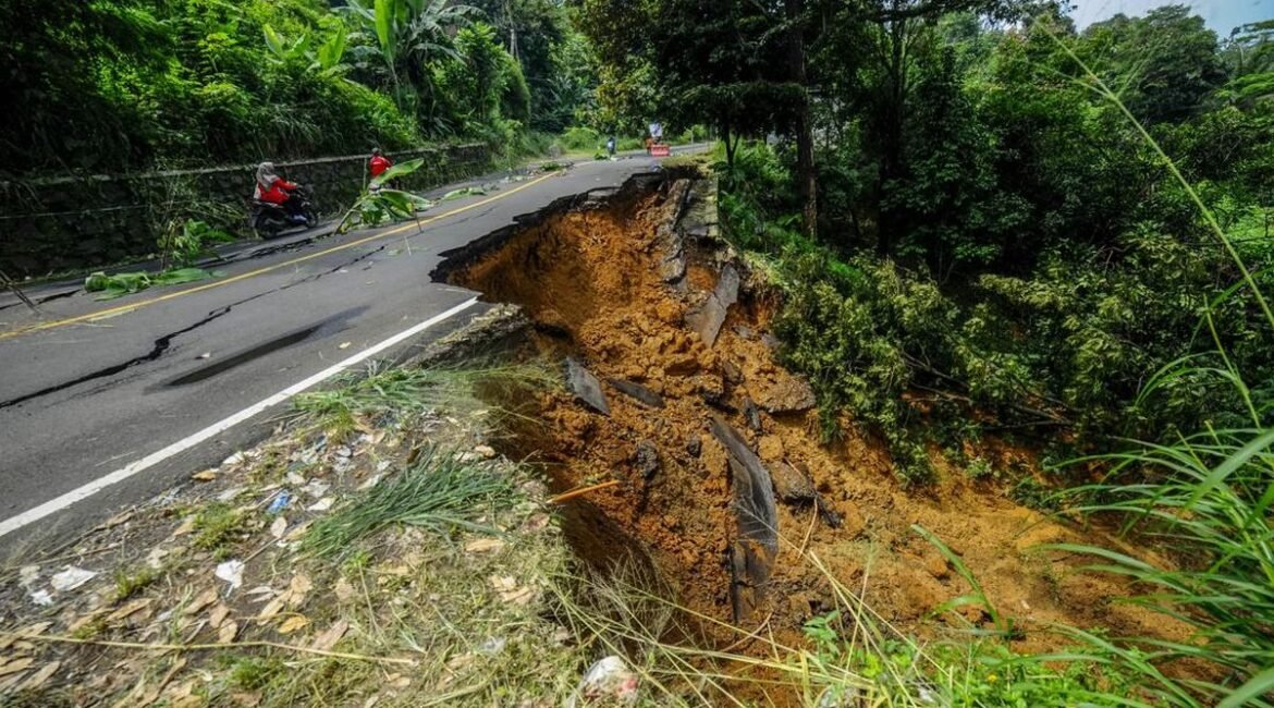 WhatsApp Image 2026-02-27 at 11.58.43