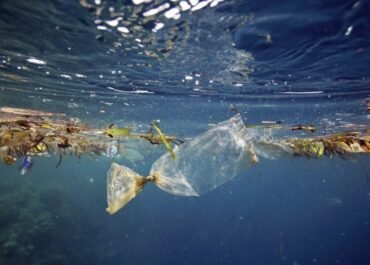 Penelitian BRIN Ungkap Mikroplastik Sudah Menembus Laut Dalam Indonesia hingga 2.450 Meter