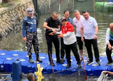 Viral Ikan Sapu-Sapu Jadi Bahan Makanan, Pemprov Ingatkan Risiko Kesehatan Serius