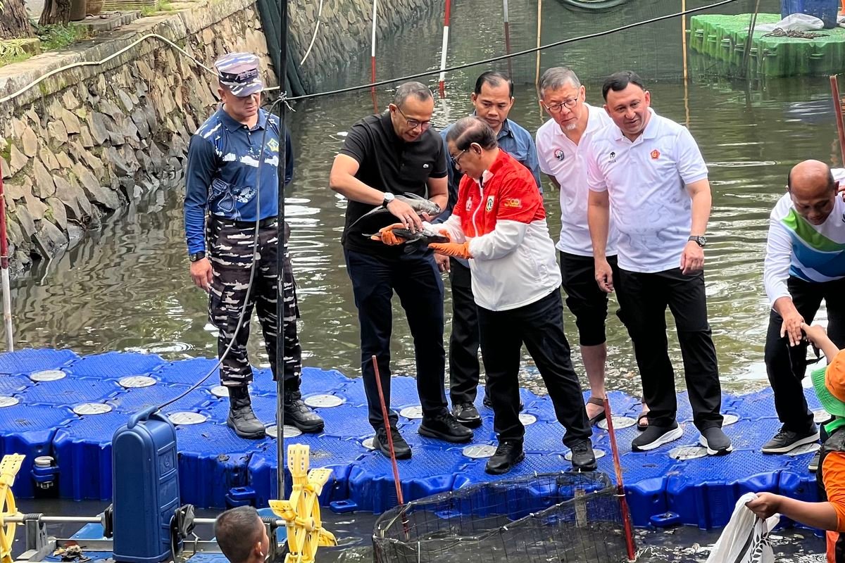 Viral Ikan Sapu-Sapu Jadi Bahan Makanan, Pemprov Ingatkan Risiko Kesehatan Serius