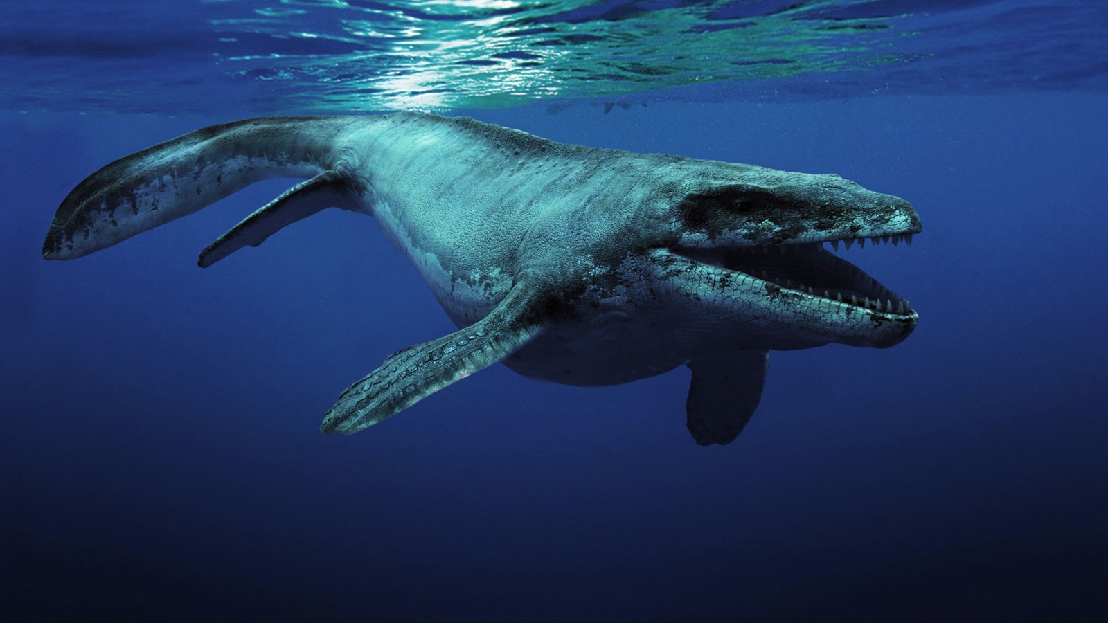 Bukan Hiu atau Paus, Inilah Predator Laut Purba yang Pernah Menguasai Samudra