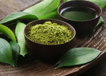 Matcha vs Kopi: Mana Pilihan Minuman Pagi yang Lebih Sehat untuk Tubuh?