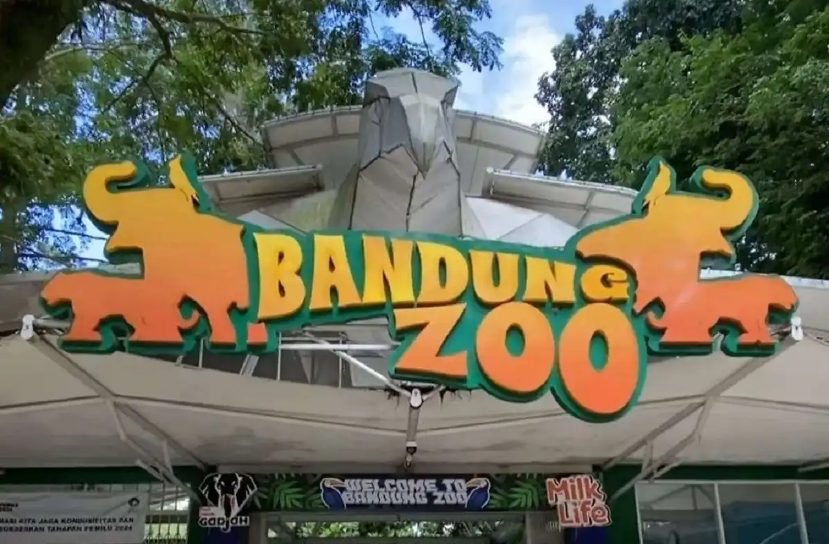 Taman Safari Siap Ambil Alih Kebun Binatang Bandung, Nasib Satwa Jadi Sorotan
