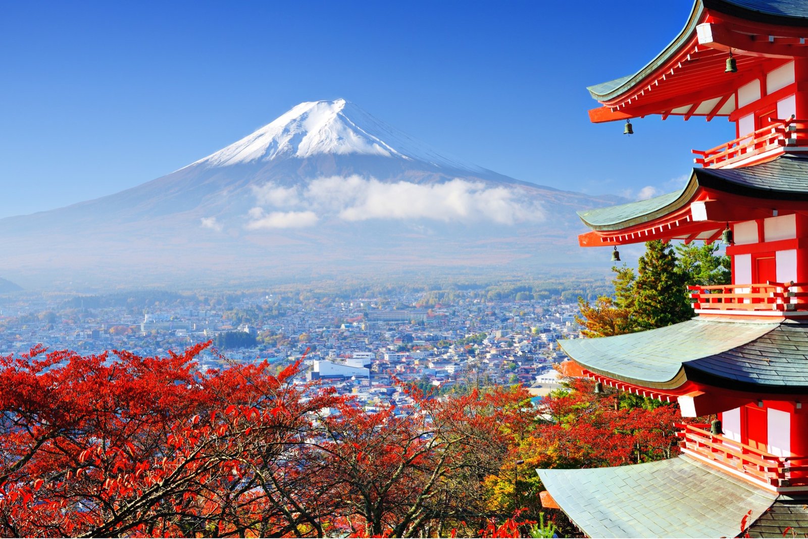 Kesempatan Emas! Pemerintah Buka Jalur Magang Resmi ke Jepang, Peserta Dapat Pelatihan dan Pengalaman Kerja Internasional