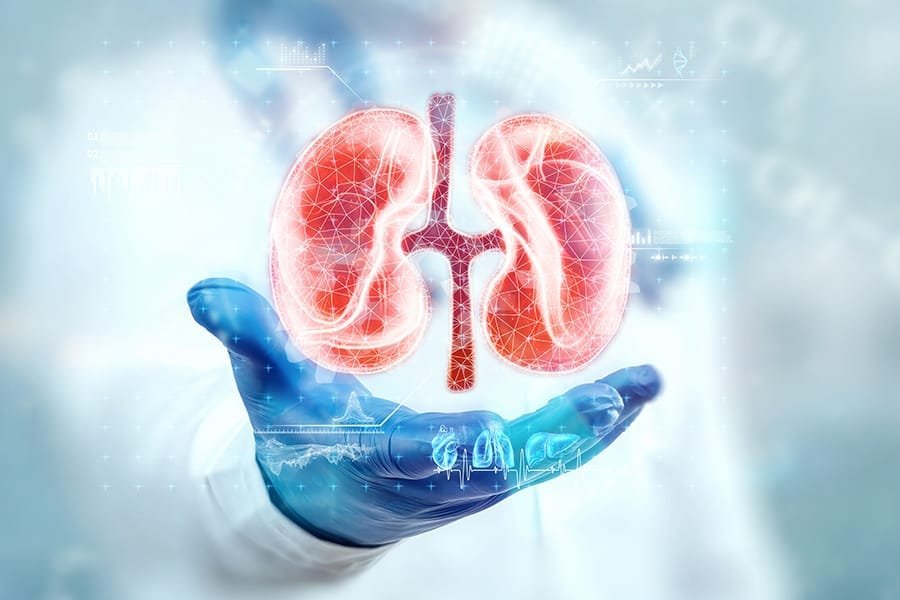Mengapa Penyakit Ginjal Sering Baru Terdeteksi Saat Sudah Parah? Ini Penjelasan Dokter