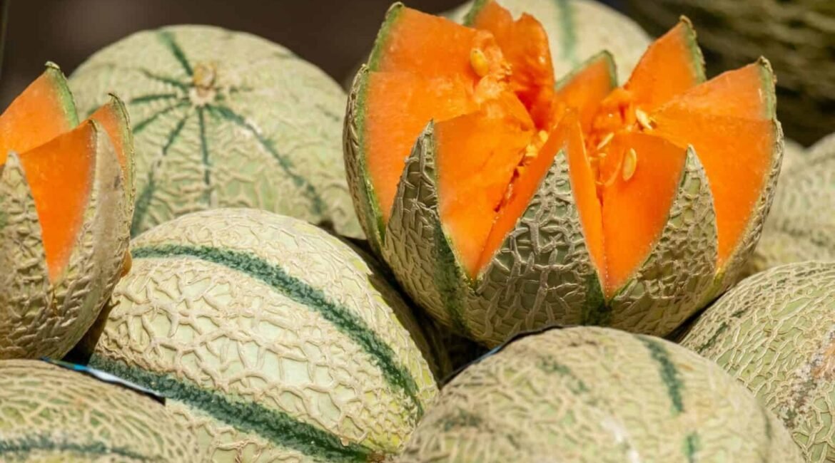 Varietes-de-melon-1536x1024
