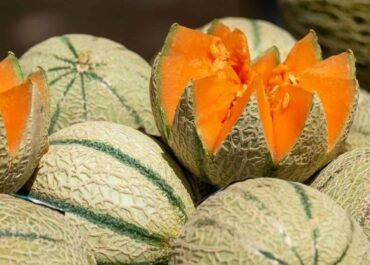 Jangan Sampai Salah Pilih! Ini 7 Cara Mudah Mendapatkan Melon Manis, Segar, dan Banyak Air