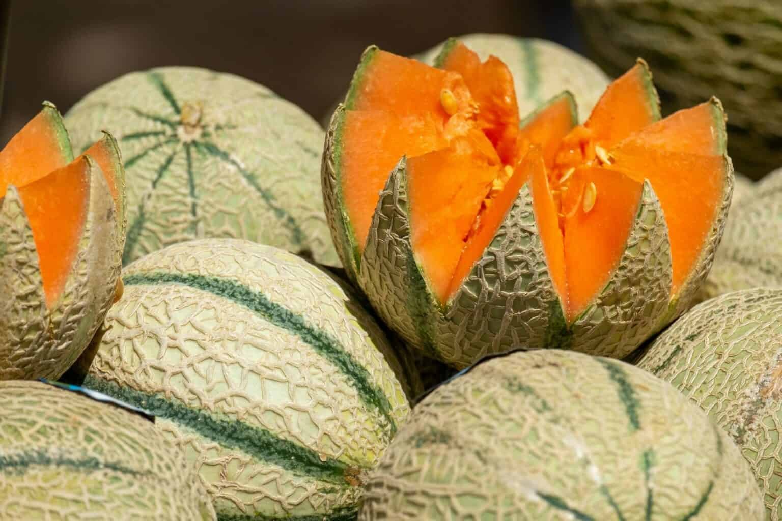 Jangan Sampai Salah Pilih! Ini 7 Cara Mudah Mendapatkan Melon Manis, Segar, dan Banyak Air