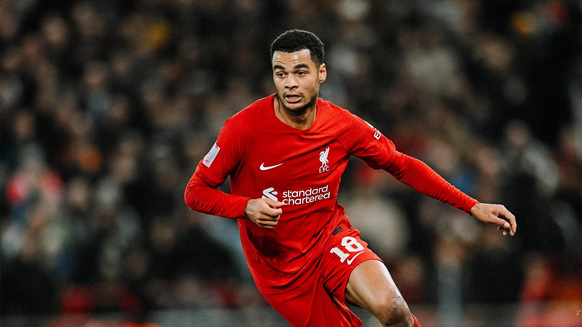 Manchester City Masuk Perburuan Cody Gakpo, Liverpool Terancam Kehilangan Penyerang Andalan