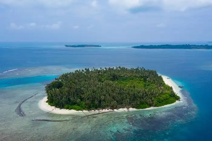 Laut Makin Panas, Ancaman Gelombang Panas Laut Mulai Mengintai Kesehatan Manusia