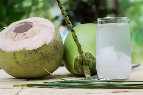 Air Kelapa Sering Diminum? Ini Pengaruhnya bagi Kesehatan Ginjal